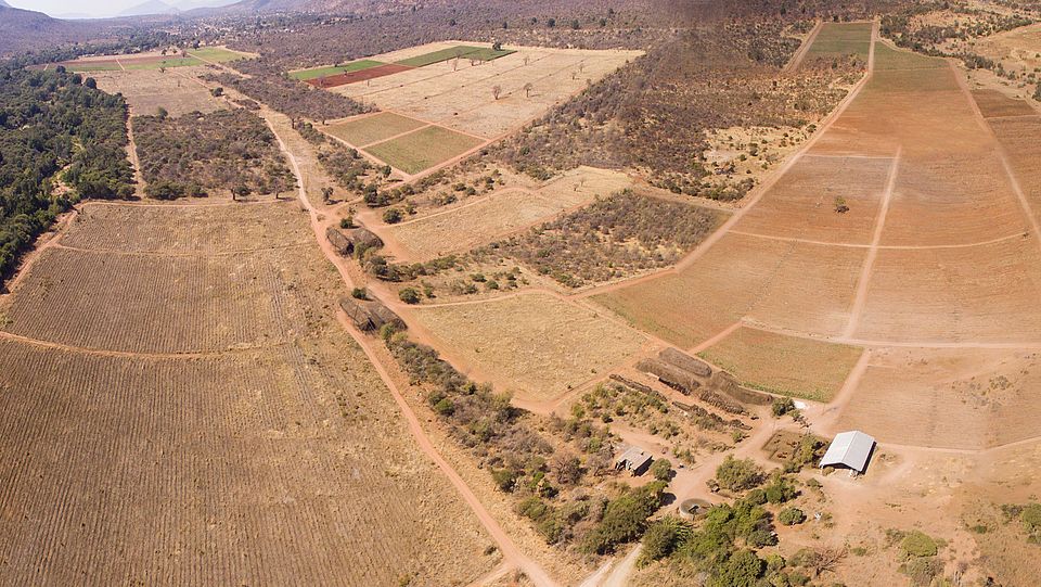 farm land in limpopo, south africa