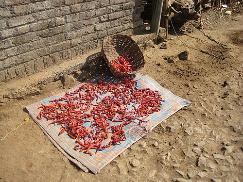 dried fruits on floor