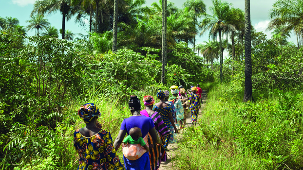 [Translate to English:] Guinea - Rural Women's Cooperative Generates Income and Improves Community Life. Photo: UN Women/Joe Saade