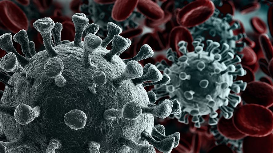 3D-Rendering einer mikroskopischen Aufnahme des neuartigen Coronavirus SARS-CoV-2. (Bild: Creativeneko/123rf)