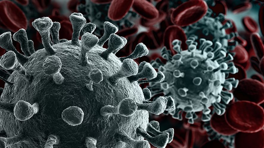 3d rendering of a microscope close-up of the novel coronavirus SARS-CoV-2. (Image: Creativeneko/123rf)