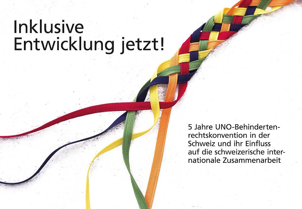 Flyer "Inklusive Entwicklung jetzt!"