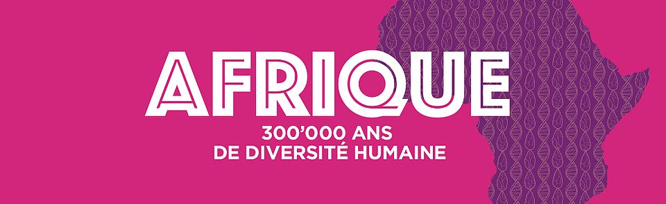 Expo Afrique 300'000