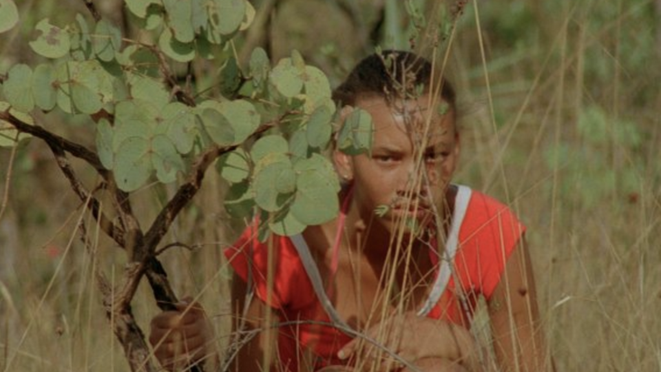 [Translate to English:] Film