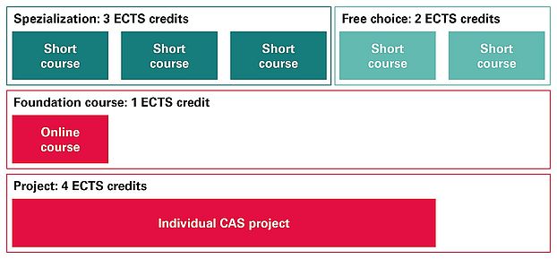 course structure